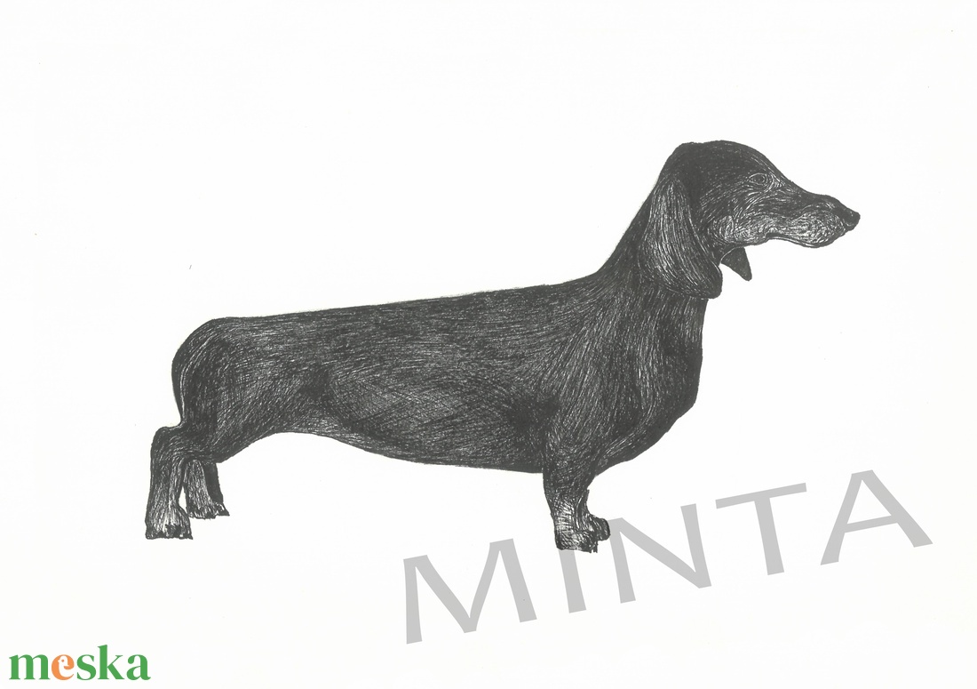 Tacskó tollrajz - művészet - grafika & illusztráció - egyéb rajzok - Meska.hu