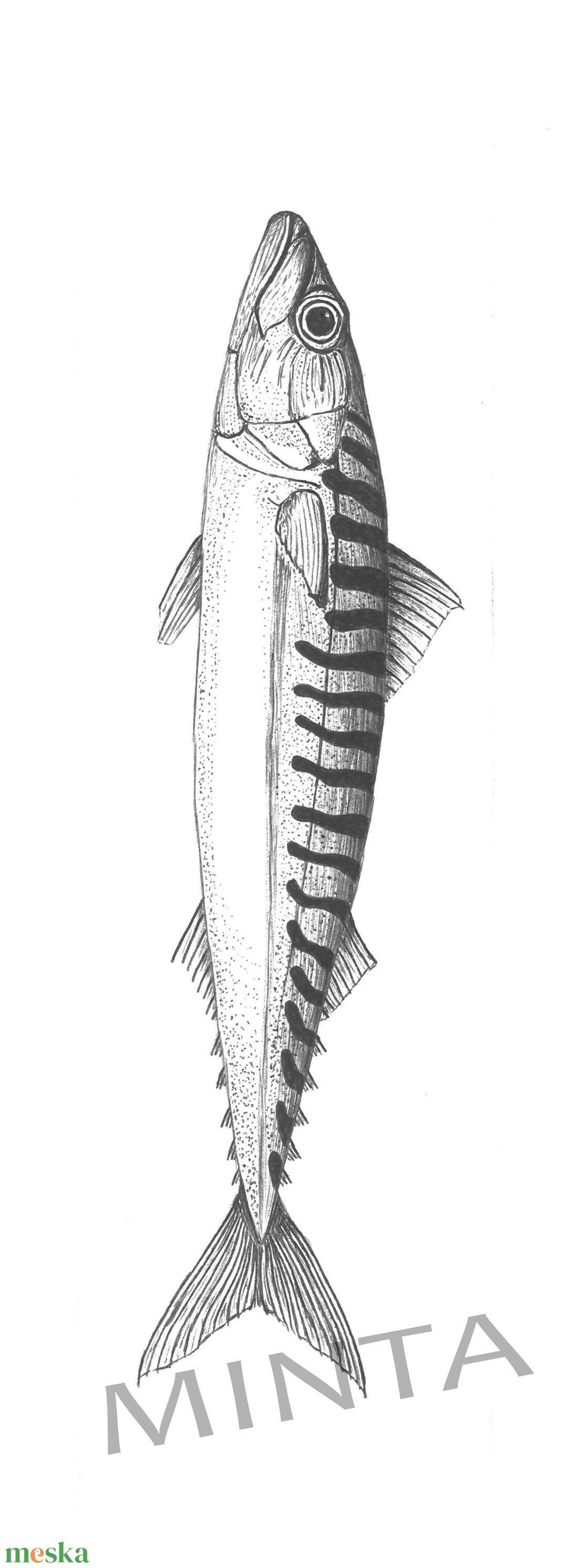 Makréla tollrajz könyvjelző - művészet - grafika & illusztráció - egyéb rajzok - Meska.hu