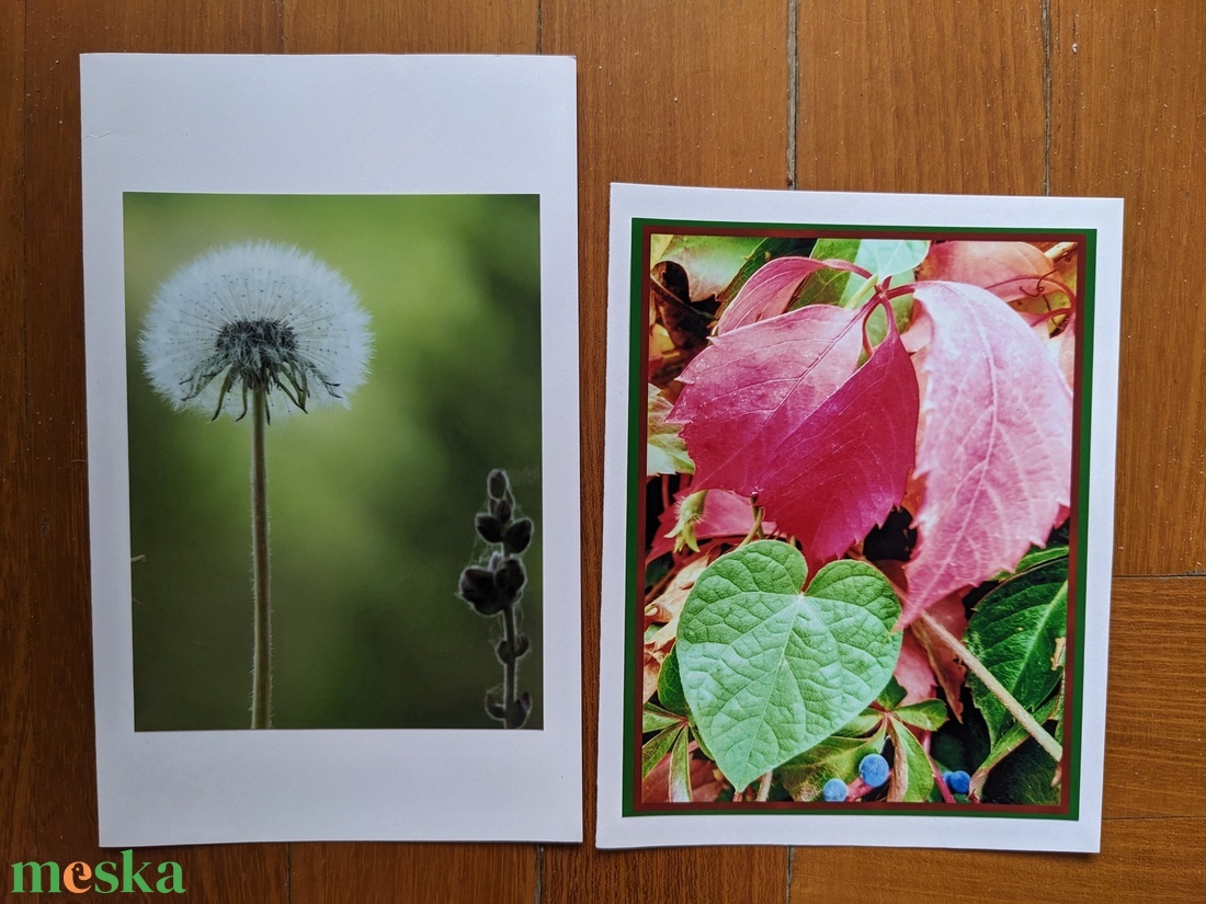 5db kinyitható képeslap saját fotóval - Természet 3. - otthon & életmód - papír, írószer - ajándékozás kellékei - képeslap, üdvözlőlap - Meska.hu