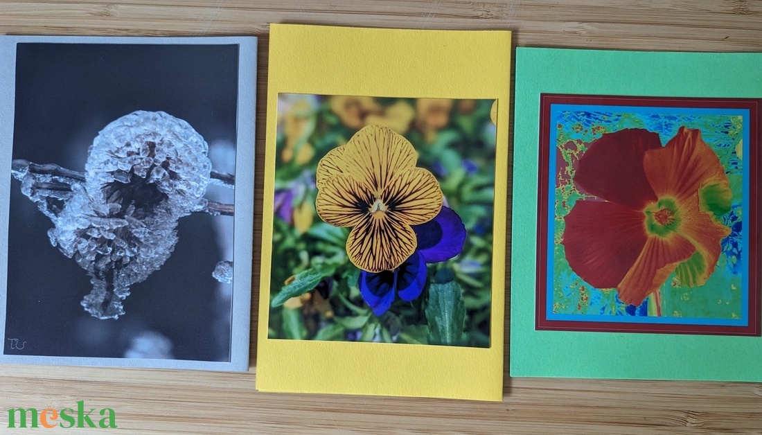 5db kinyitható képeslap saját fotóval - Természet 9. - otthon & életmód - papír, írószer - ajándékozás kellékei - képeslap, üdvözlőlap - Meska.hu