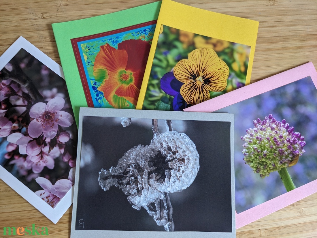 5db kinyitható képeslap saját fotóval - Természet 9. - otthon & életmód - papír, írószer - ajándékozás kellékei - képeslap, üdvözlőlap - Meska.hu