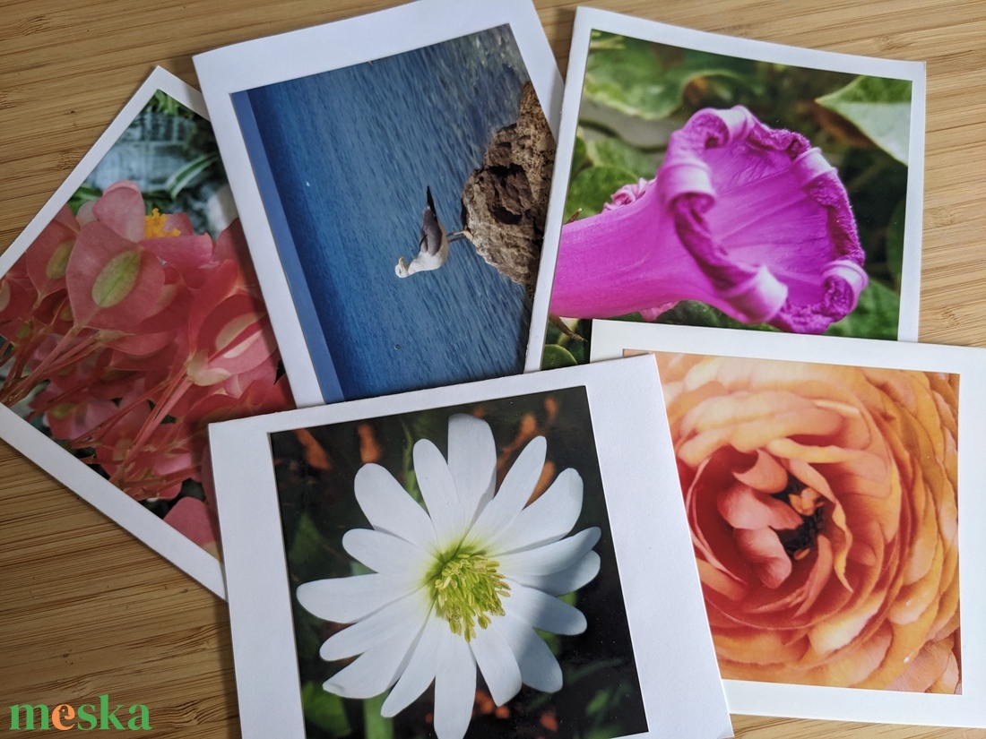 5db kinyitható képeslap saját fotóval - Természet 13. - otthon & életmód - papír, írószer - ajándékozás kellékei - képeslap, üdvözlőlap - Meska.hu