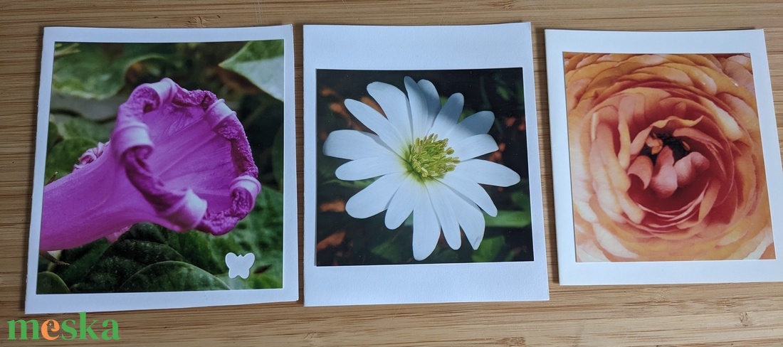 5db kinyitható képeslap saját fotóval - Természet 13. - otthon & életmód - papír, írószer - ajándékozás kellékei - képeslap, üdvözlőlap - Meska.hu