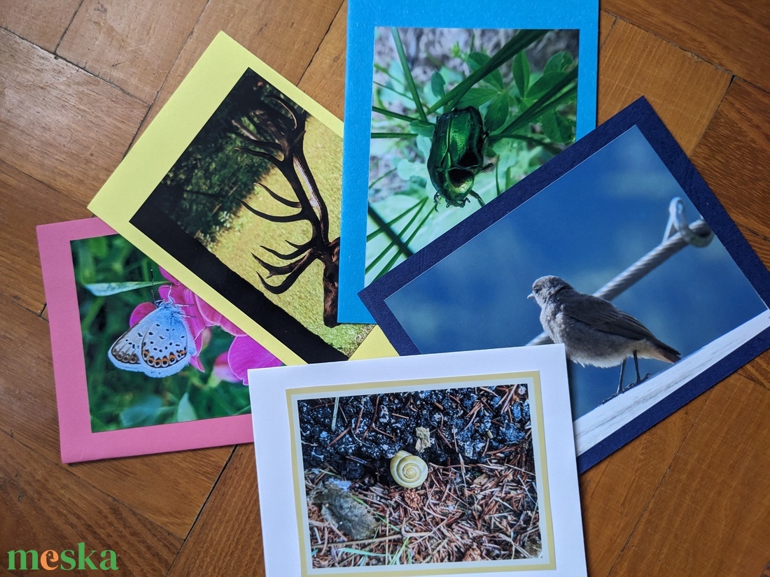 5db kinyitható képeslap saját fotóimmal - Állatok 1. - otthon & életmód - papír, írószer - ajándékozás kellékei - képeslap, üdvözlőlap - Meska.hu