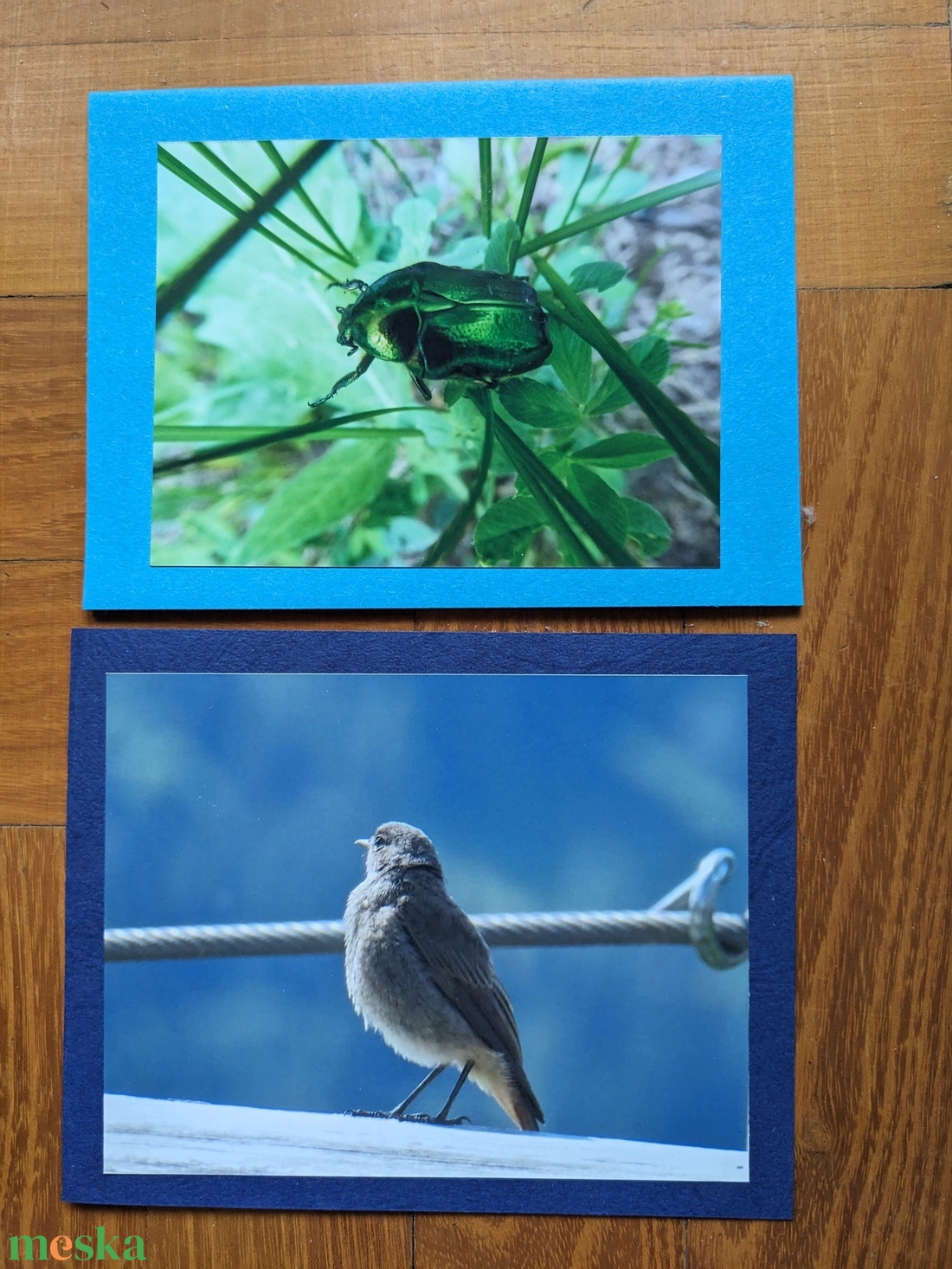 5db kinyitható képeslap saját fotóimmal - Állatok 1. - otthon & életmód - papír, írószer - ajándékozás kellékei - képeslap, üdvözlőlap - Meska.hu