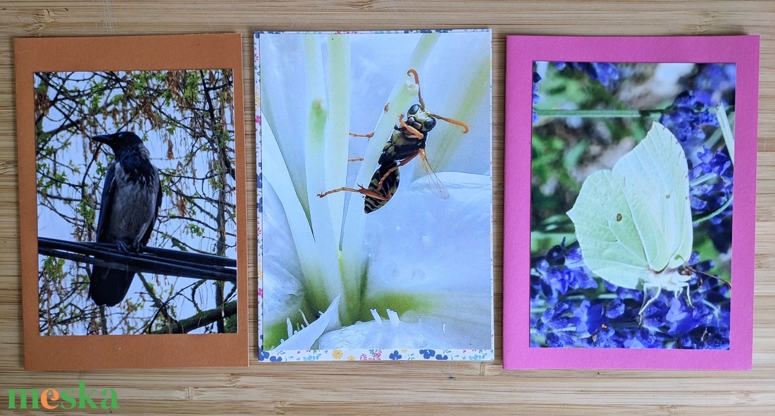 5db kinyitható képeslap saját fotómmal - Állatok 2. - otthon & életmód - papír, írószer - ajándékozás kellékei - képeslap, üdvözlőlap - Meska.hu