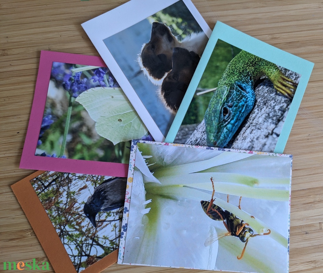 5db kinyitható képeslap saját fotómmal - Állatok 2. - otthon & életmód - papír, írószer - ajándékozás kellékei - képeslap, üdvözlőlap - Meska.hu