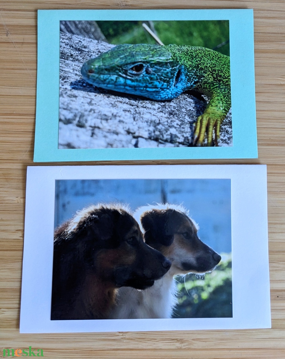 5db kinyitható képeslap saját fotómmal - Állatok 2. - otthon & életmód - papír, írószer - ajándékozás kellékei - képeslap, üdvözlőlap - Meska.hu