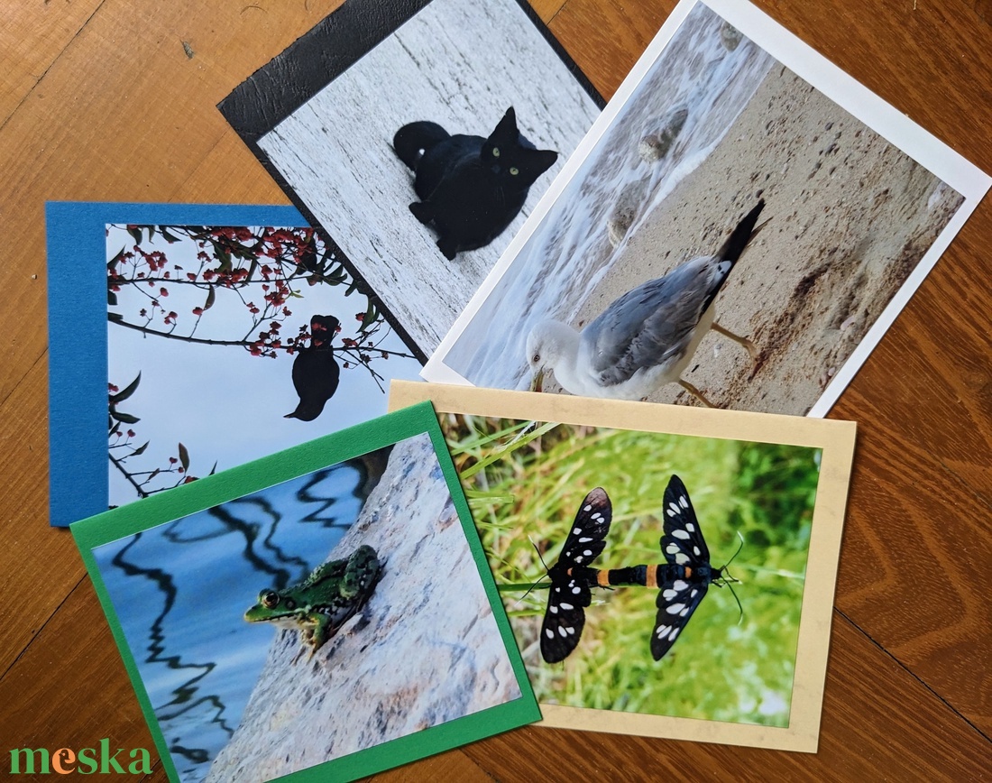 5db kinyitható képeslap saját fotóval - Állatok 3. - otthon & életmód - papír, írószer - ajándékozás kellékei - képeslap, üdvözlőlap - Meska.hu