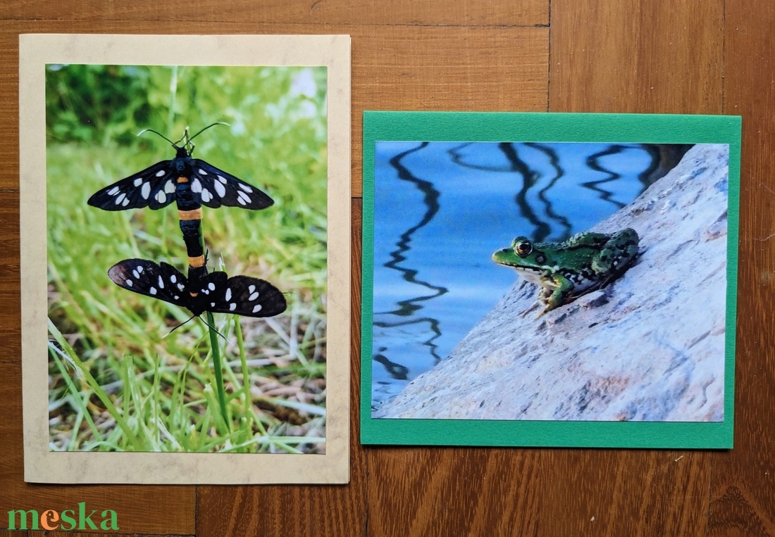 5db kinyitható képeslap saját fotóval - Állatok 3. - otthon & életmód - papír, írószer - ajándékozás kellékei - képeslap, üdvözlőlap - Meska.hu