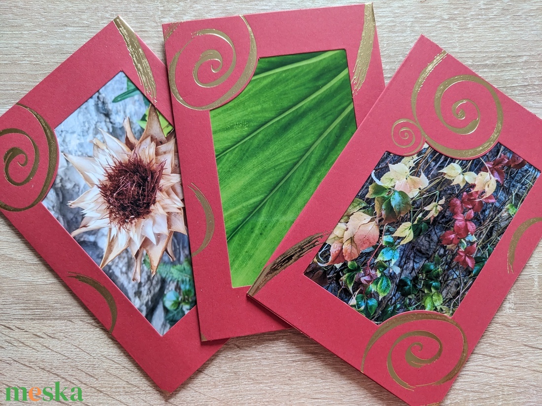 6db kinyitható képeslap saját fotóimmal - otthon & életmód - papír, írószer - ajándékozás kellékei - ajándékkísérő - Meska.hu