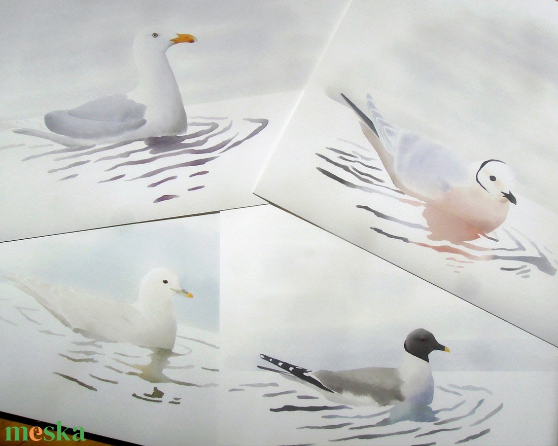 Az Arktisz nászruhás sirályai sorozat A4 giclée művészeti nyomat - otthon & életmód - dekoráció - kép & falikép - kép & falikép - Meska.hu
