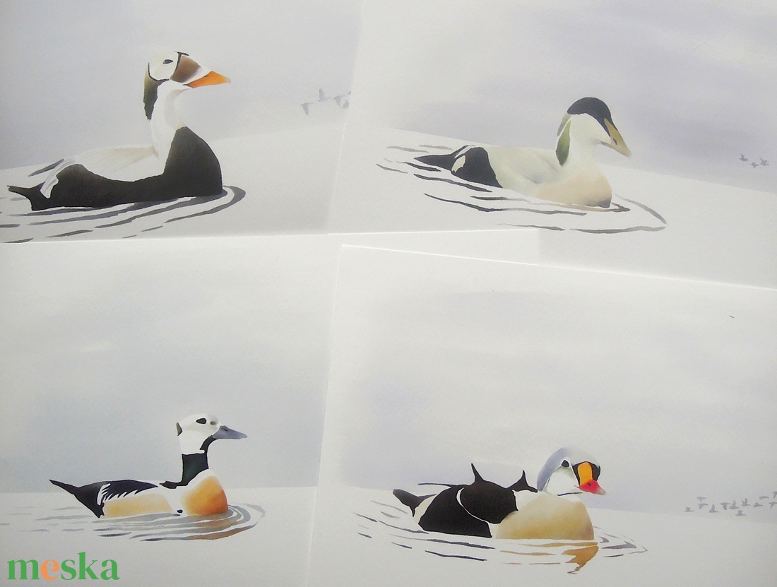 Nászruhás hím pehelyréce sorozat A4 giclée művészeti nyomat - otthon & életmód - dekoráció - kép & falikép - kép & falikép - Meska.hu Nászruhás hím pehelyréce sorozat A4 giclée művészeti nyomat - otthon & életmód - dekoráció - kép & falikép - kép & falikép - Meska.hu