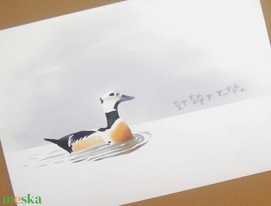 Nászruhás hím Steller pehelyréce A4 giclée művészeti nyomat - otthon & életmód - dekoráció - kép & falikép - kép & falikép - Meska.hu Nászruhás hím Steller pehelyréce A4 giclée művészeti nyomat - otthon & életmód - dekoráció - kép & falikép - kép & falikép - Meska.hu