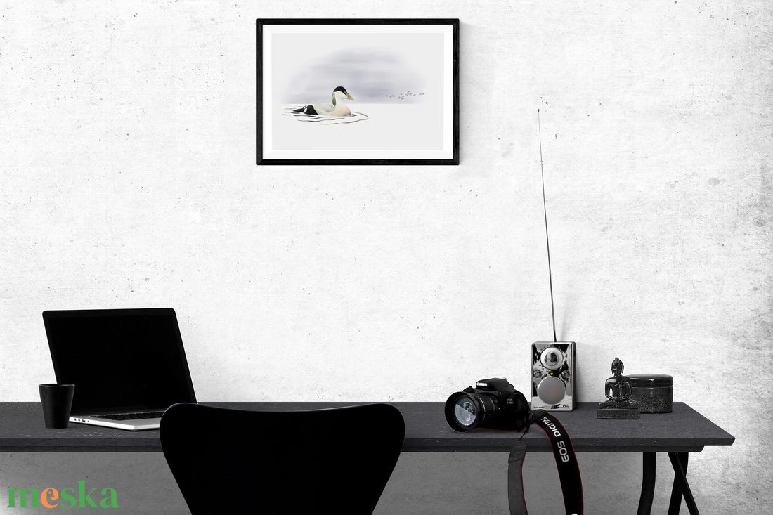 Nászruhás hím pehelyréce A4 giclée művészeti nyomat - otthon & életmód - dekoráció - kép & falikép - kép & falikép - Meska.hu Nászruhás hím pehelyréce A4 giclée művészeti nyomat - otthon & életmód - dekoráció - kép & falikép - kép & falikép - Meska.hu