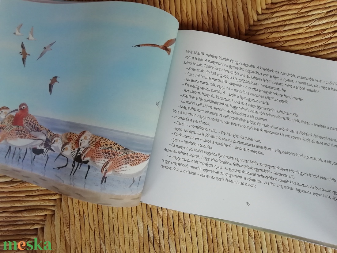 A bátor kis gulipán mesekönyv - könyv & zene - könyv - Meska.hu A bátor kis gulipán mesekönyv - könyv & zene - könyv - Meska.hu