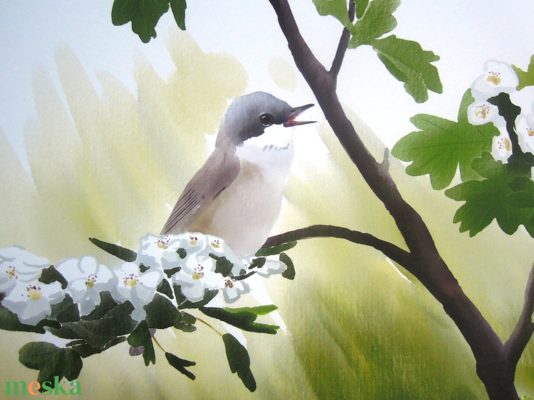 Énekesmadarak sorozat A4 giclée művészeti nyomat - otthon & életmód - dekoráció - kép & falikép - kép & falikép - Meska.hu Énekesmadarak sorozat A4 giclée művészeti nyomat - otthon & életmód - dekoráció - kép & falikép - kép & falikép - Meska.hu