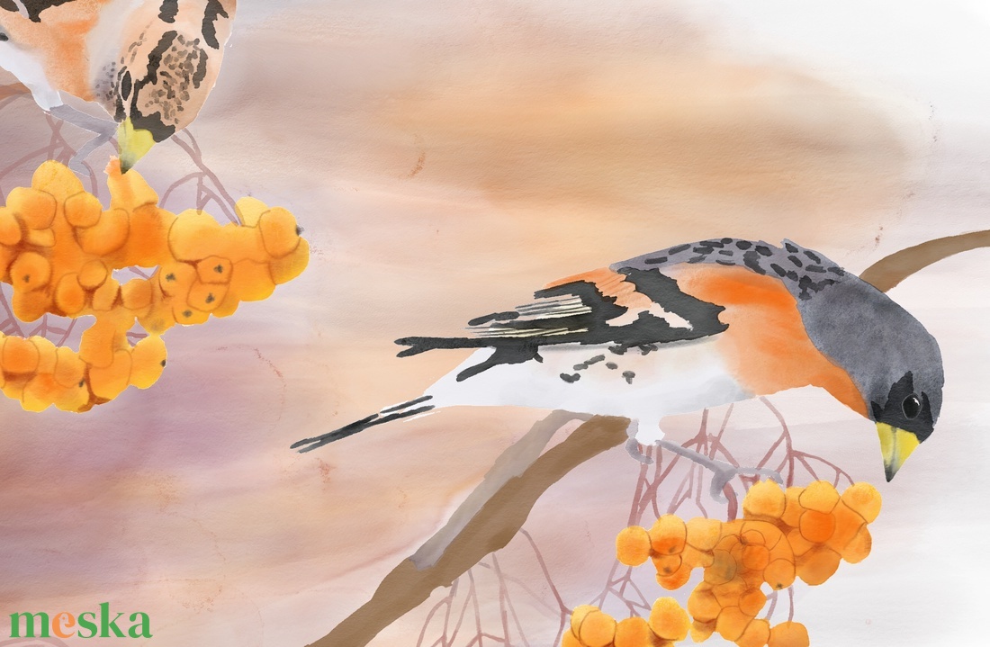 Madárberkenyén táplálkozó fenyőpintyek - Limitált példányszámú A4 giclée művészeti nyomat - művészet - grafika & illusztráció - művészi nyomat - Meska.hu