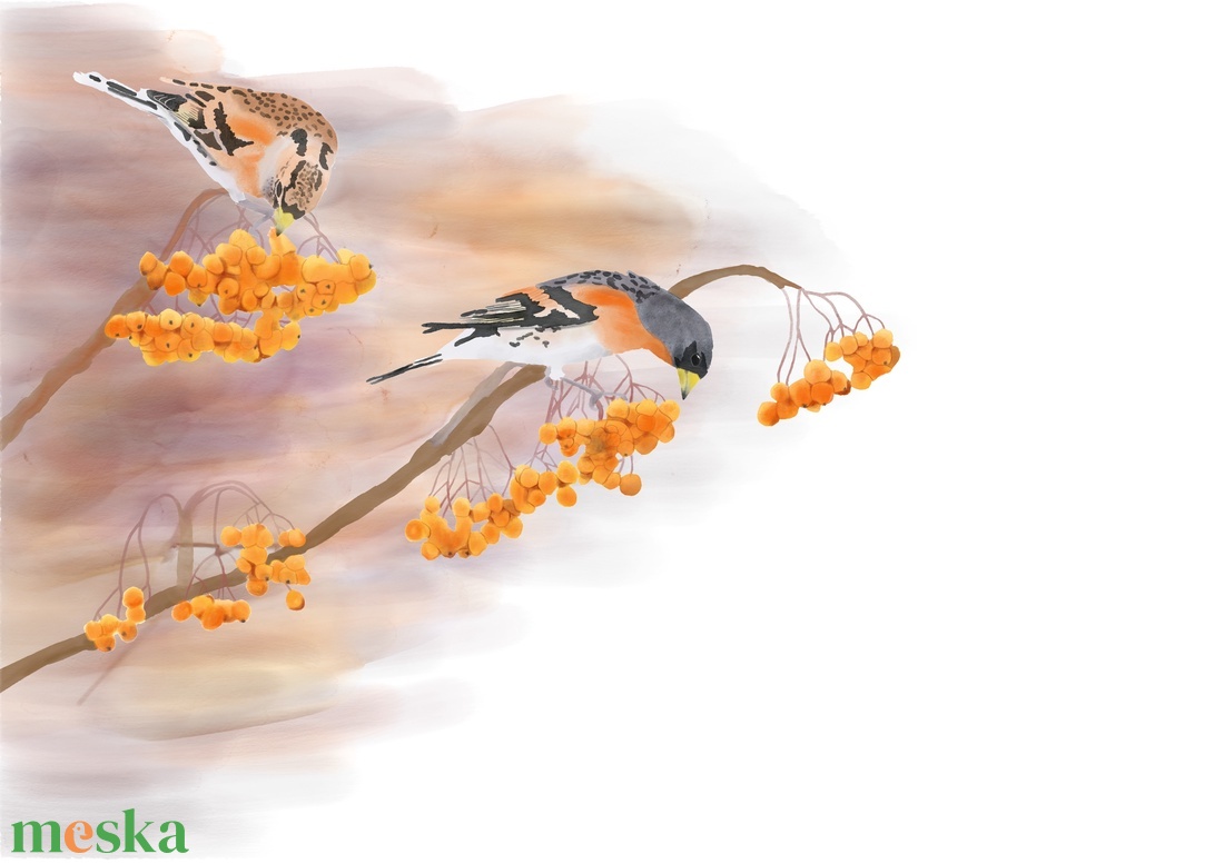 Madárberkenyén táplálkozó fenyőpintyek - Limitált példányszámú A4 giclée művészeti nyomat - művészet - grafika & illusztráció - művészi nyomat - Meska.hu