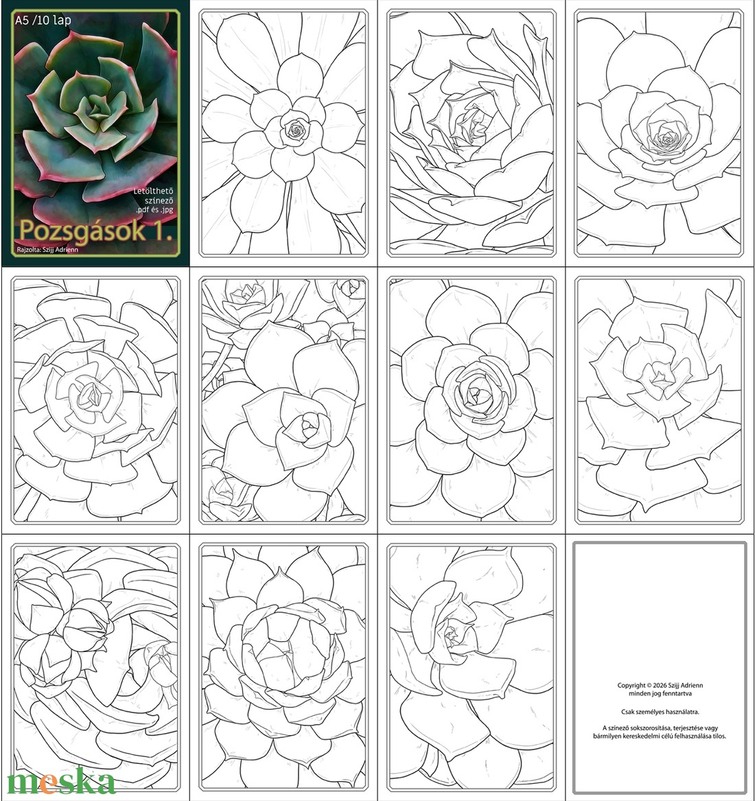 Letölthető színező - Pozsgások 1+2 - művészet - grafika & illusztráció - digitális - Meska.hu