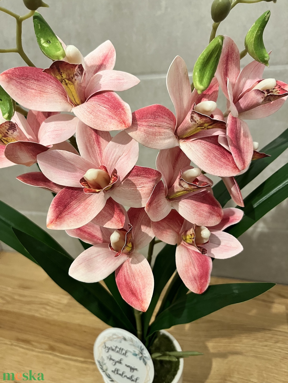 Cymbidium - csónak orchidea / Örök orchidea kerámia kaspóban többféle - otthon & életmód - dekoráció - virágdísz és tartó - csokor & virágdísz - Meska.hu Cymbidium - csónak orchidea / Örök orchidea kerámia kaspóban többféle - otthon & életmód - dekoráció - virágdísz és tartó - csokor & virágdísz - Meska.hu