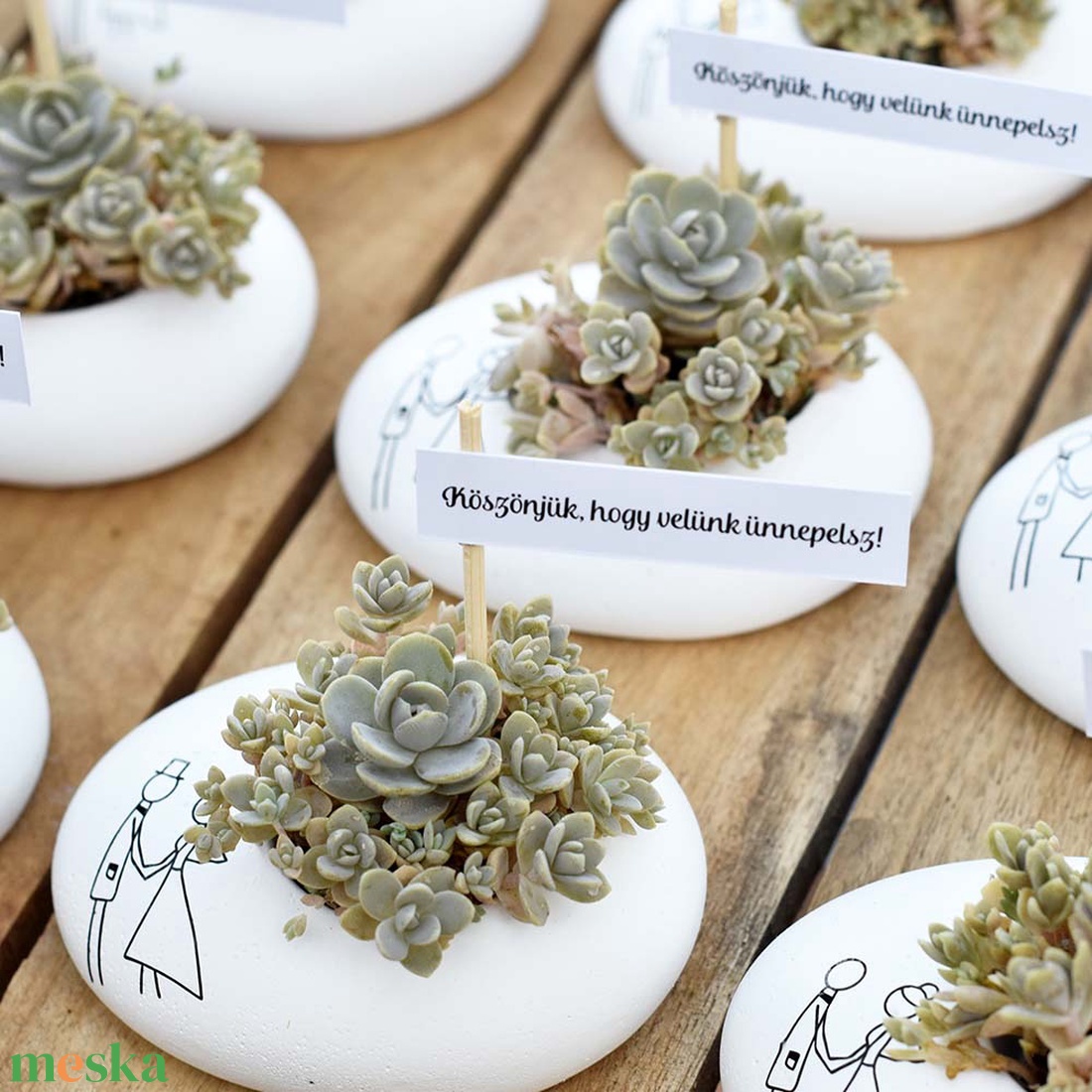 Köszönőajándék vendégeknek kövirózsával - esküvő - emlék & ajándék - köszönőajándék - Meska.hu Köszönőajándék vendégeknek kövirózsával - esküvő - emlék & ajándék - köszönőajándék - Meska.hu