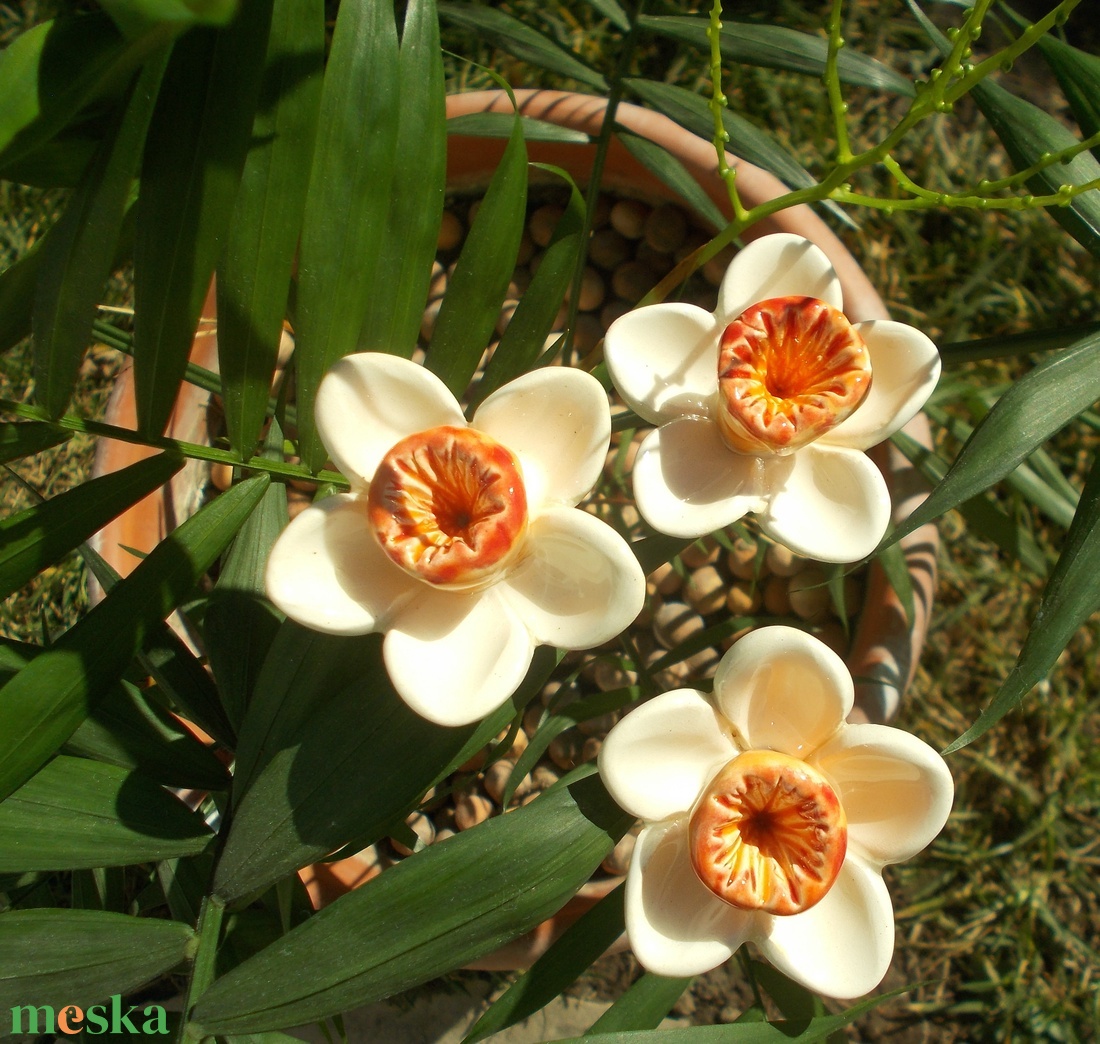 Fehér nárciszok - otthon & életmód - ház & kert - növény & veteményes - Meska.hu