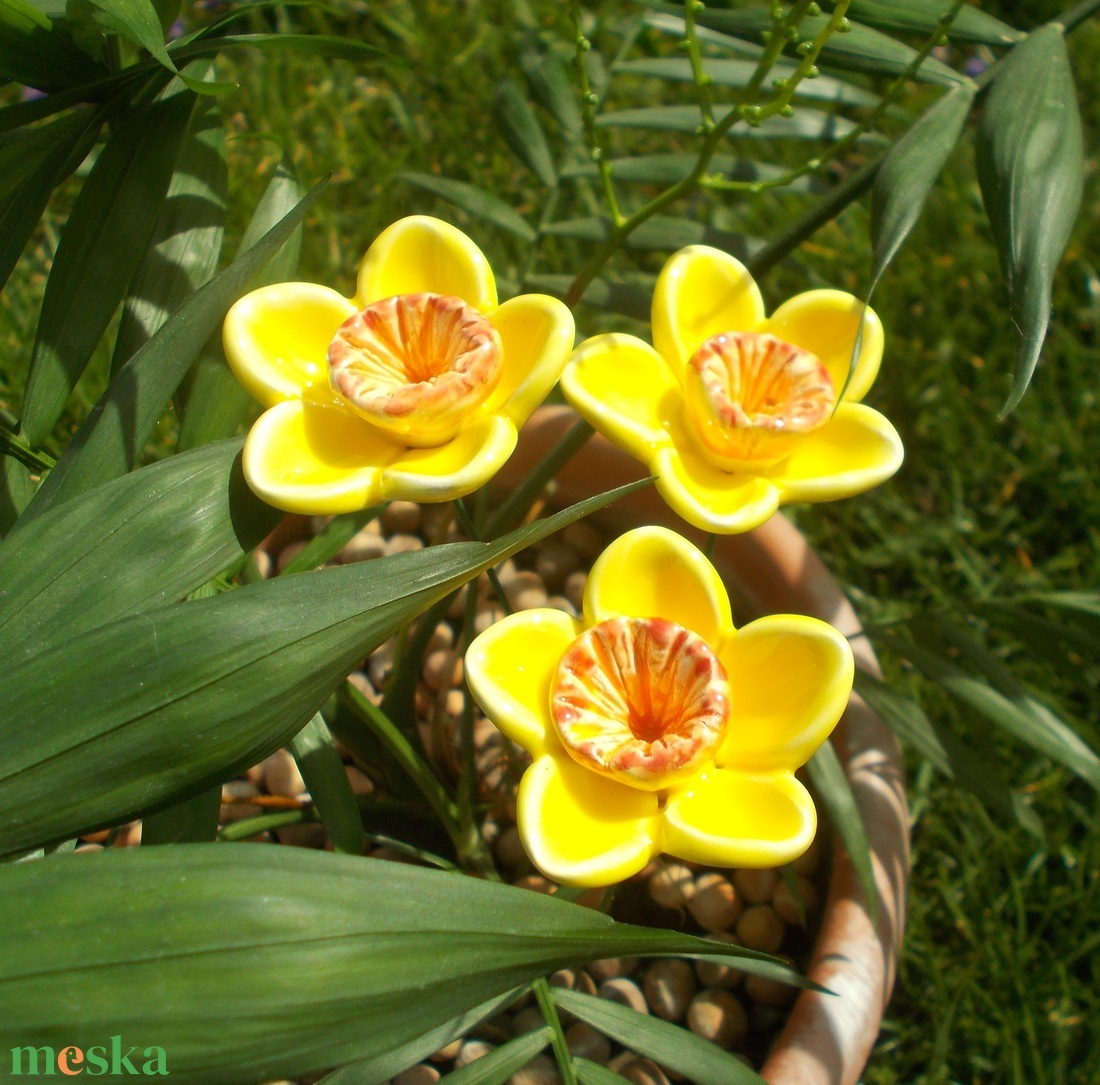 3 szál Nárcisz - otthon & életmód - ház & kert - növény & veteményes - Meska.hu