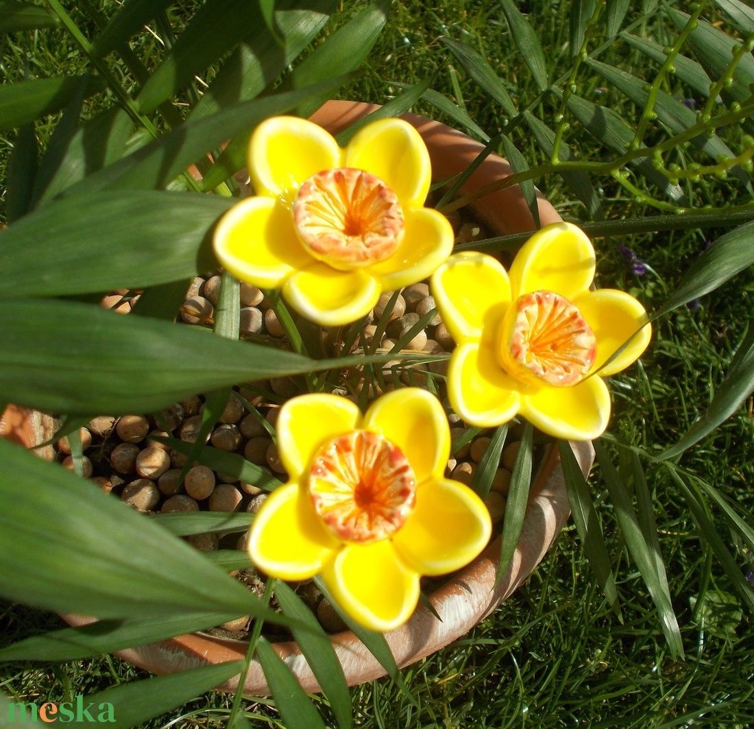 3 szál Nárcisz - otthon & életmód - ház & kert - növény & veteményes - Meska.hu