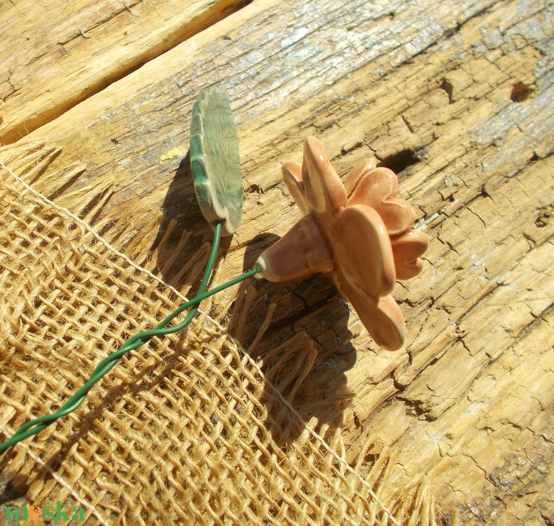 Virág ,levéllel - otthon & életmód - ház & kert - növény & veteményes - Meska.hu Virág ,levéllel - otthon & életmód - ház & kert - növény & veteményes - Meska.hu