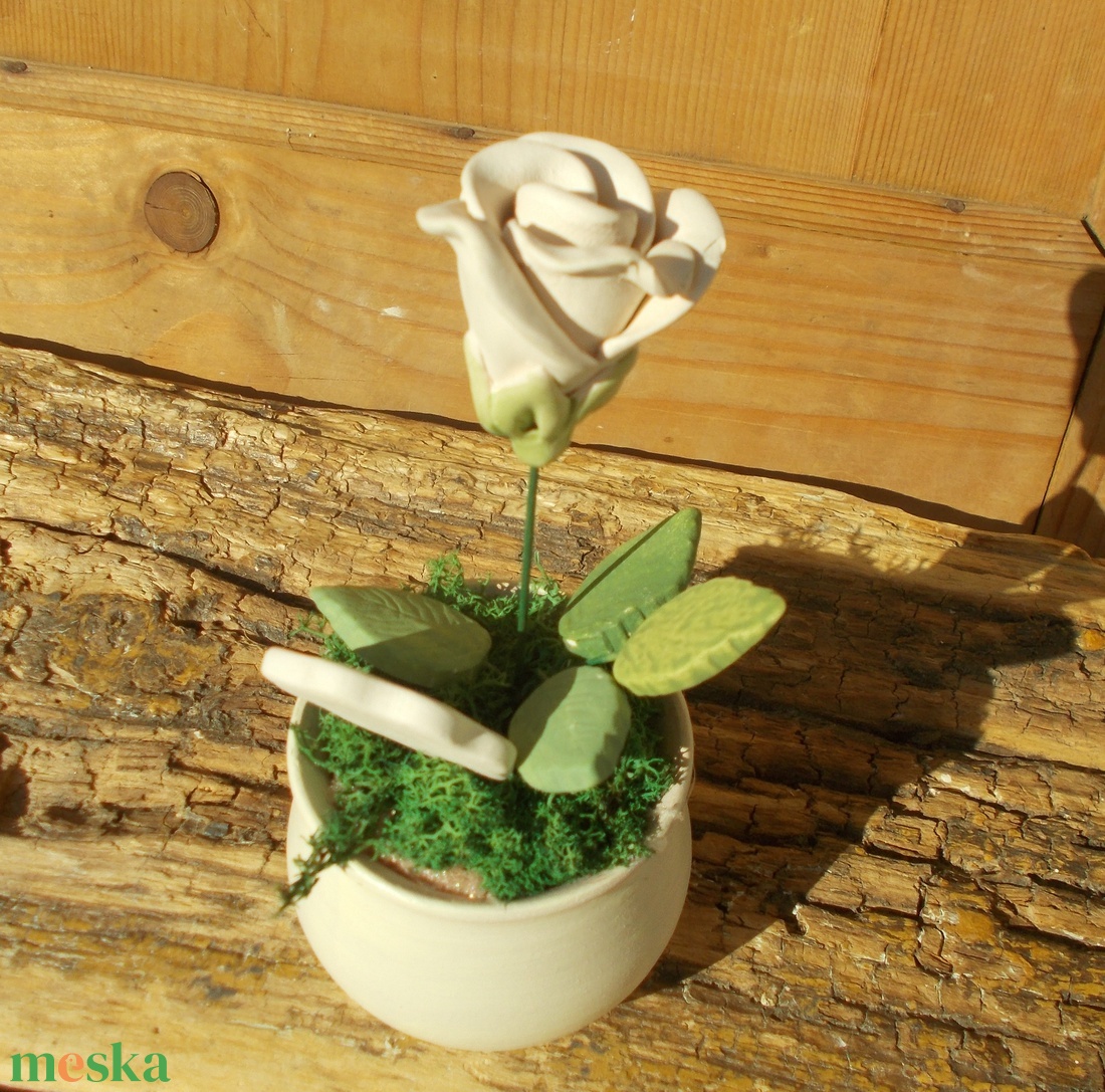 Rózsa kaspóban. - otthon & életmód - dekoráció - asztal és polc dekoráció - asztaldísz - Meska.hu