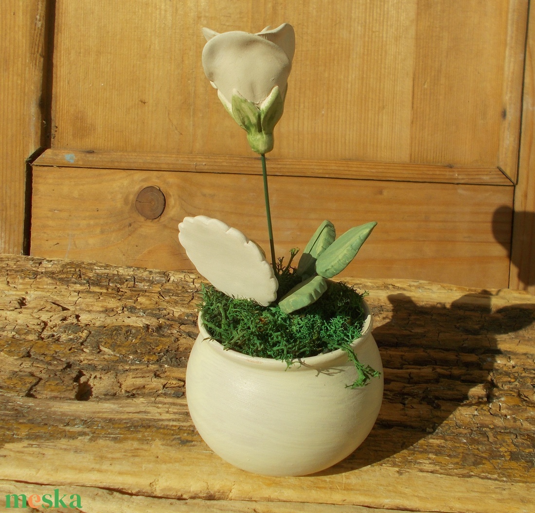 Rózsa kaspóban. - otthon & életmód - dekoráció - asztal és polc dekoráció - asztaldísz - Meska.hu