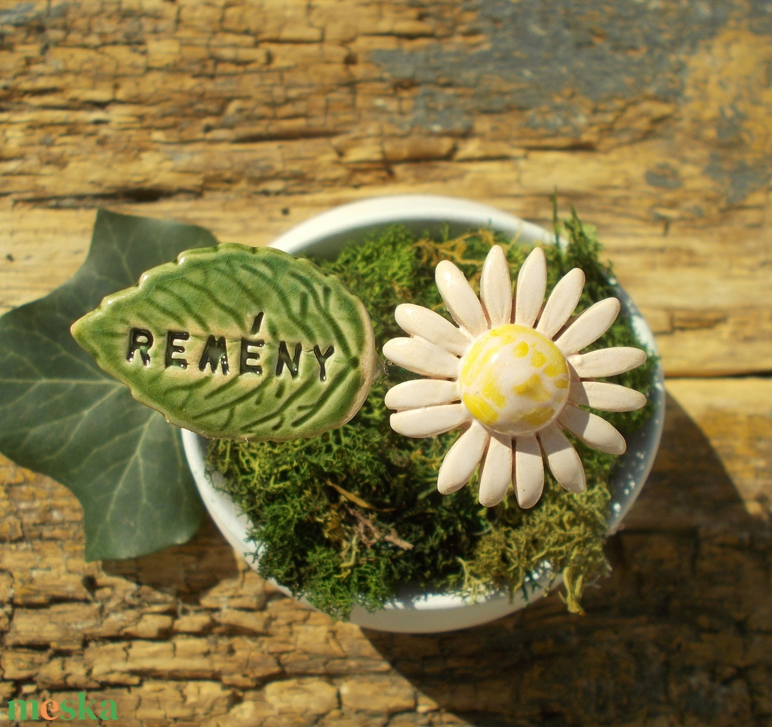 Remény - otthon & életmód - ház & kert - növény & veteményes - Meska.hu Remény - otthon & életmód - ház & kert - növény & veteményes - Meska.hu