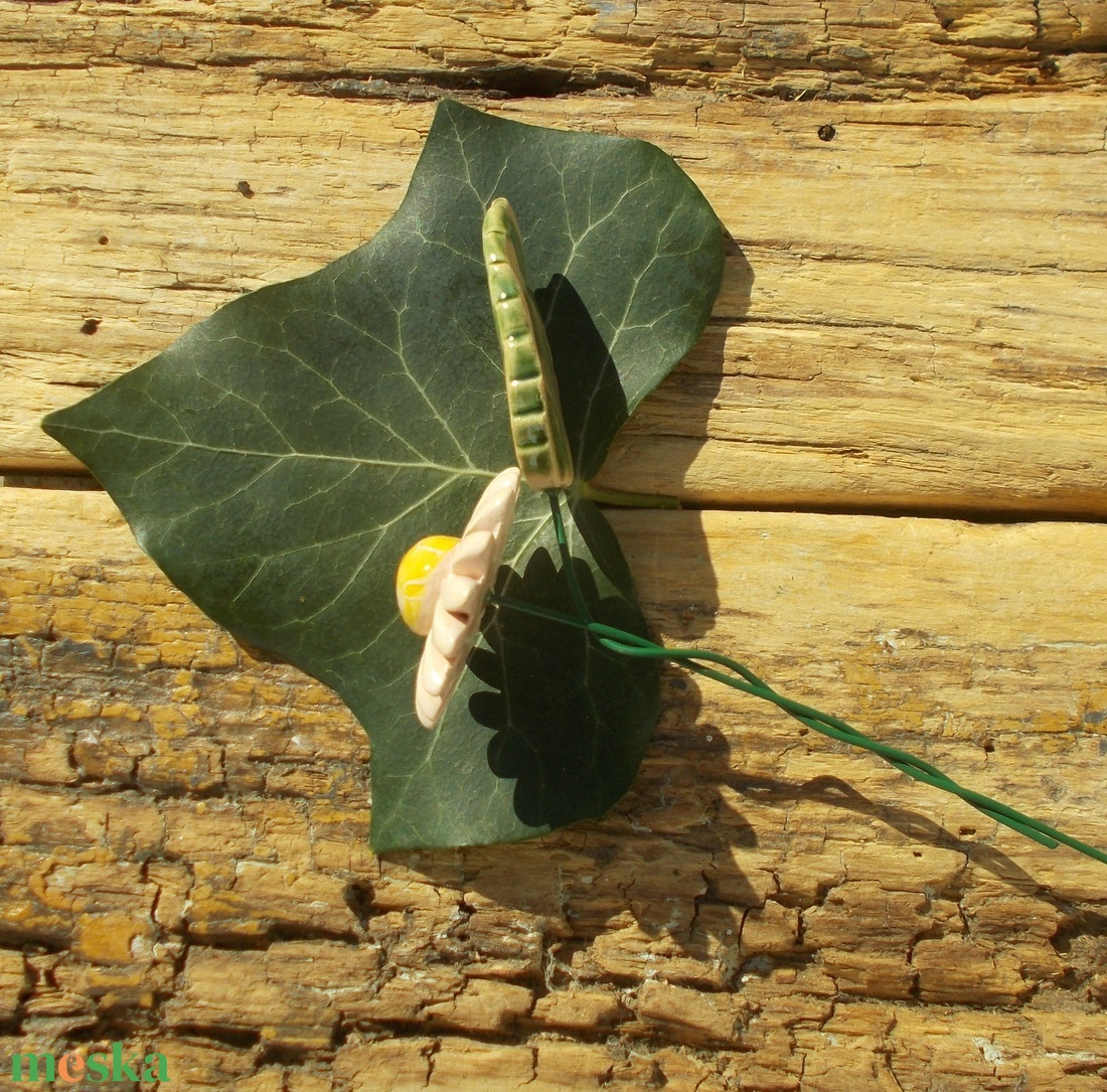 Remény - otthon & életmód - ház & kert - növény & veteményes - Meska.hu Remény - otthon & életmód - ház & kert - növény & veteményes - Meska.hu