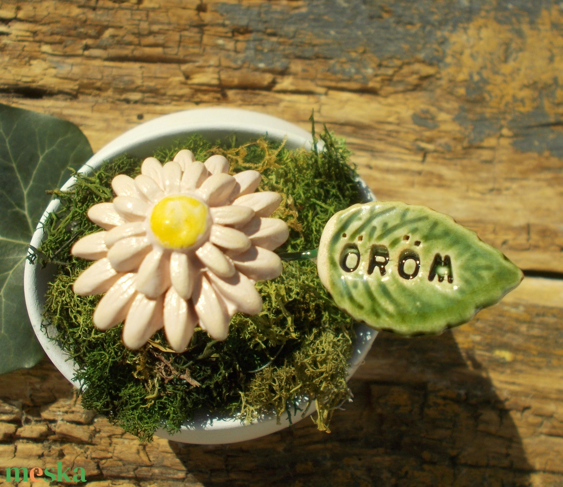 Öröm - otthon & életmód - ház & kert - növény & veteményes - Meska.hu Öröm - otthon & életmód - ház & kert - növény & veteményes - Meska.hu