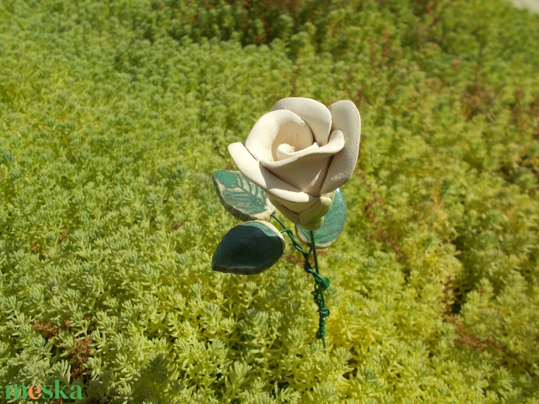 Rózsa levéllel - otthon & életmód - ház & kert - növény & veteményes - Meska.hu