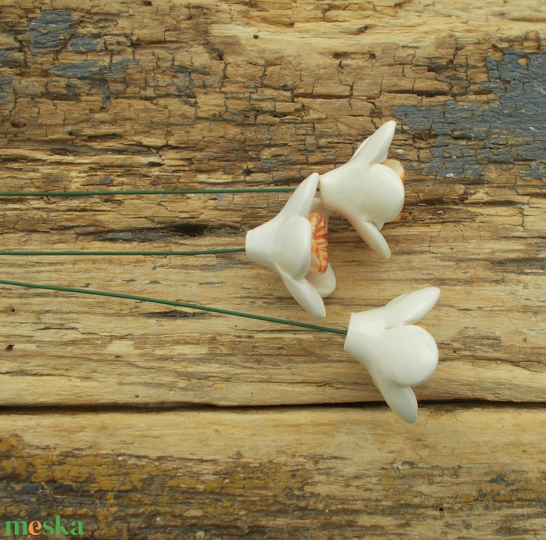 Fehér nárciszok - otthon & életmód - ház & kert - növény & veteményes - Meska.hu