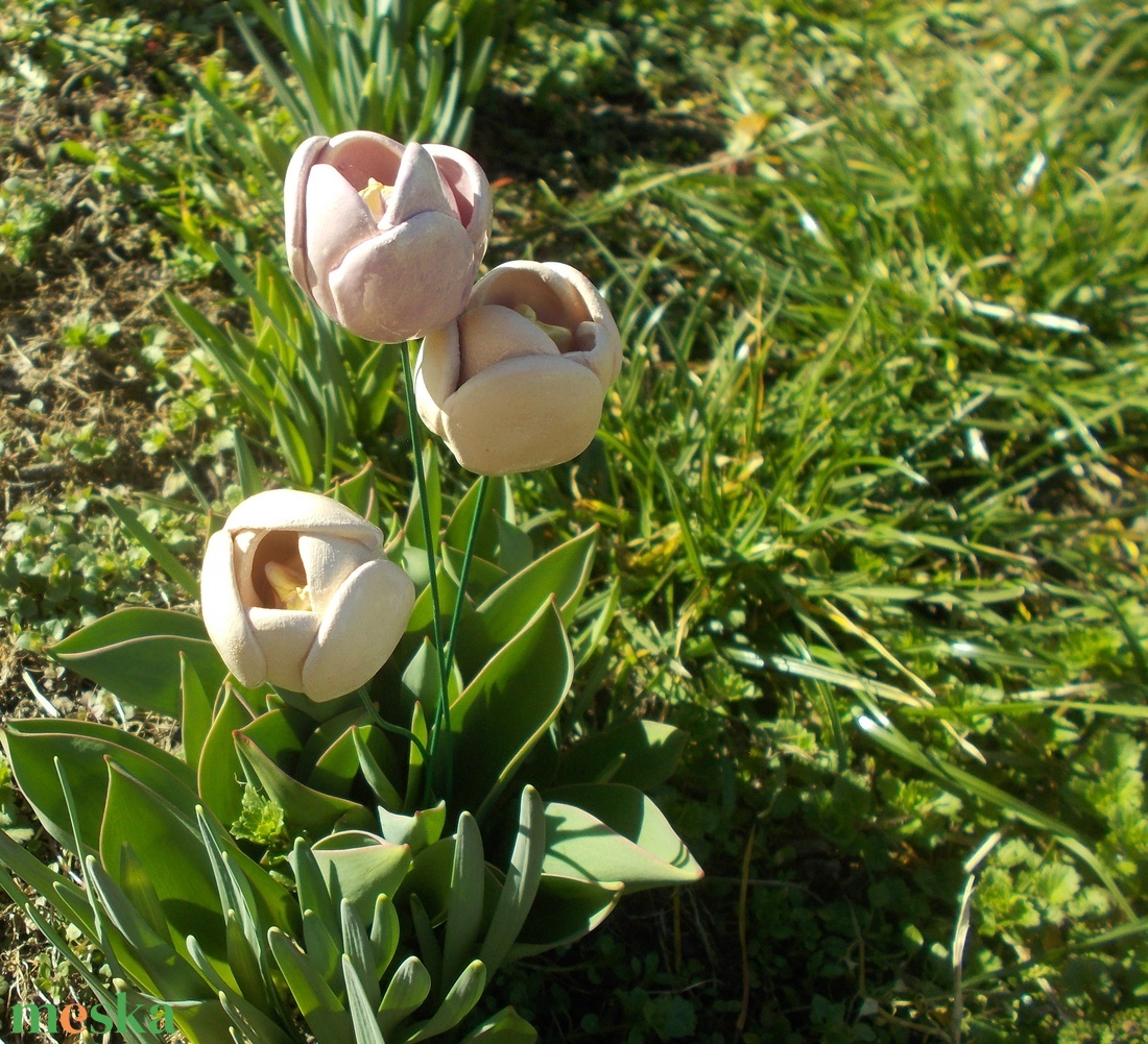 Tulipánok - otthon & életmód - virágdekoráció - virágok - szálas virág - Meska.hu