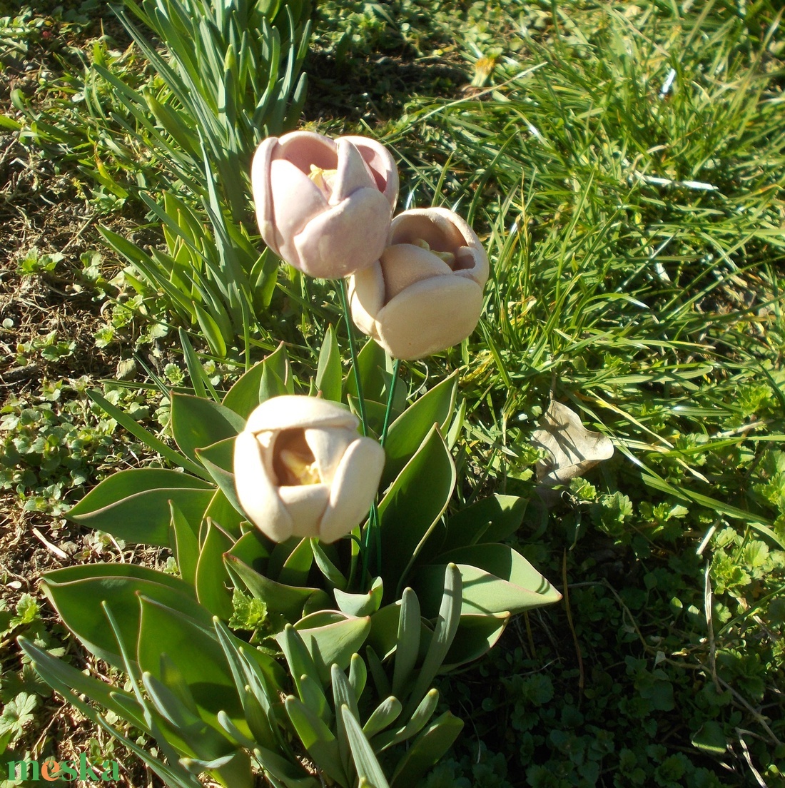 Tulipánok - otthon & életmód - virágdekoráció - virágok - szálas virág - Meska.hu
