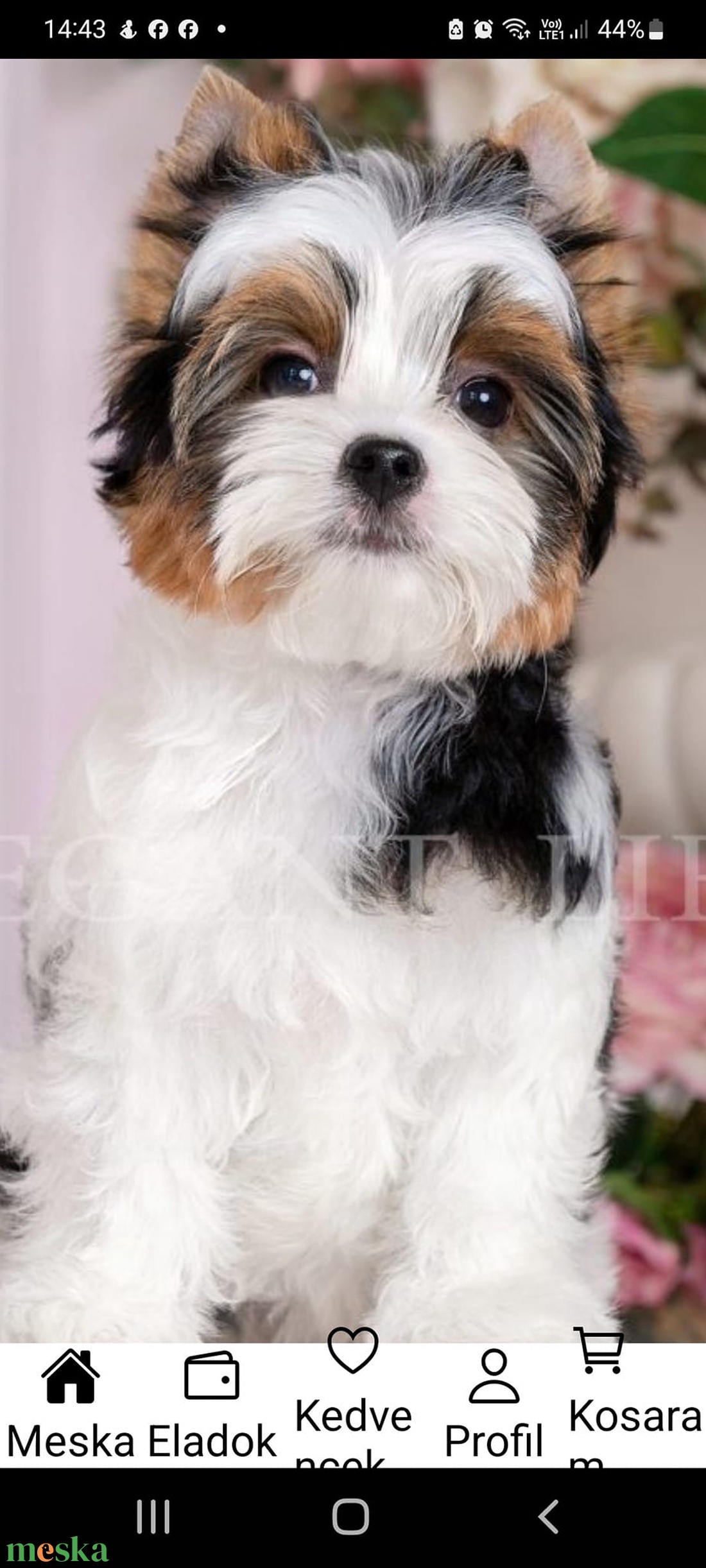 Egyedi kutya plüss fotó alapján - Biewer Yorkie Yorkshire terrier - játék & sport - plüssállat & játékfigura - kutya - Meska.hu Egyedi kutya plüss fotó alapján - Biewer Yorkie Yorkshire terrier - játék & sport - plüssállat & játékfigura - kutya - Meska.hu