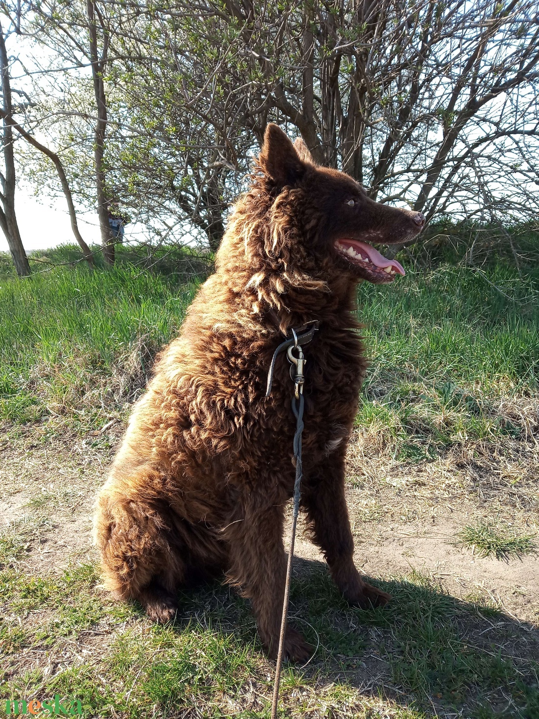 Egyedi kutya plüss fotó alapján - játék & sport - plüssállat & játékfigura - kutya - Meska.hu