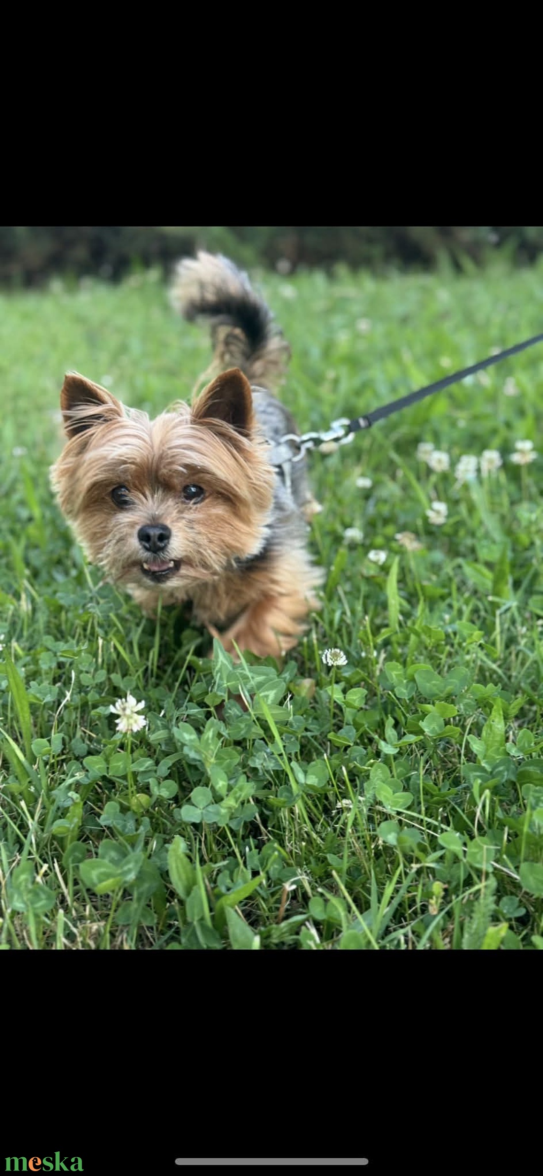 Egyedi kutya plüss - Yorkie  Yorkshire terrier fotó alapján - játék & sport - plüssállat & játékfigura - kutya - Meska.hu