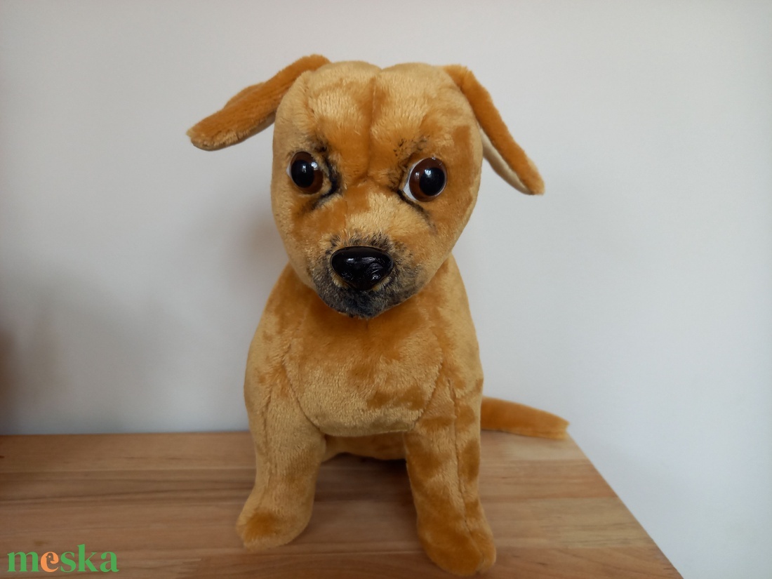Egyedi plüss kutya fotó alapján  - játék & sport - plüssállat & játékfigura - kutya - Meska.hu
