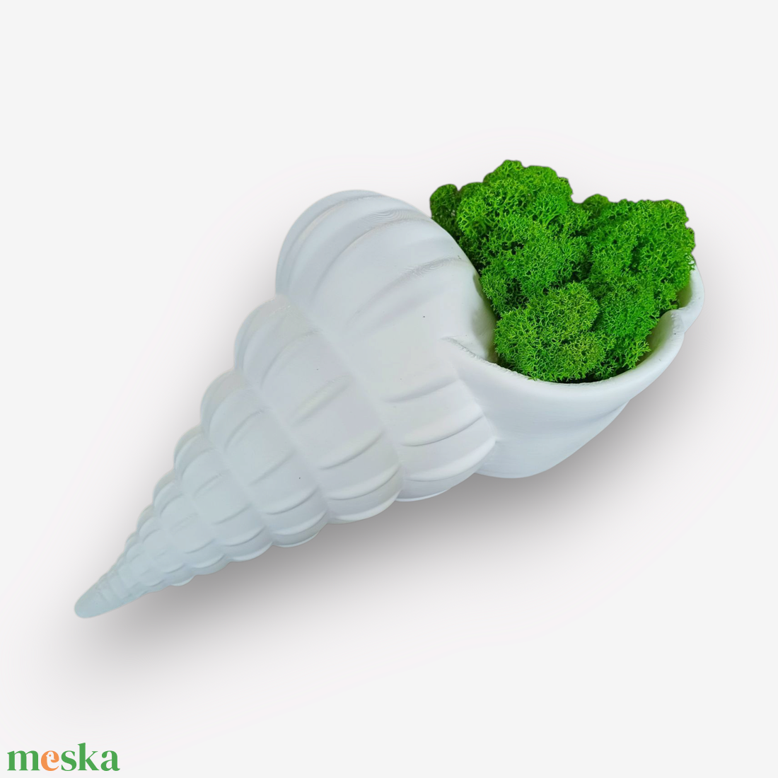 Csiga asztal vagy falidísz zuzmóval  - otthon & életmód - dekoráció - asztal és polc dekoráció - asztaldísz - Meska.hu