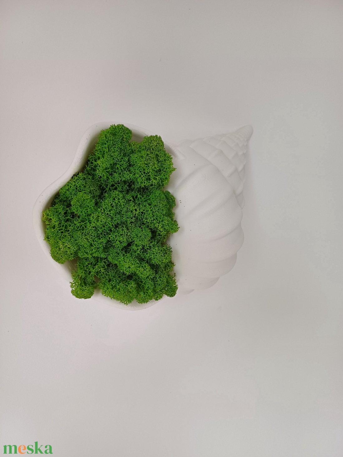 Csiga asztal vagy falidísz zuzmóval  - otthon & életmód - dekoráció - asztal és polc dekoráció - asztaldísz - Meska.hu