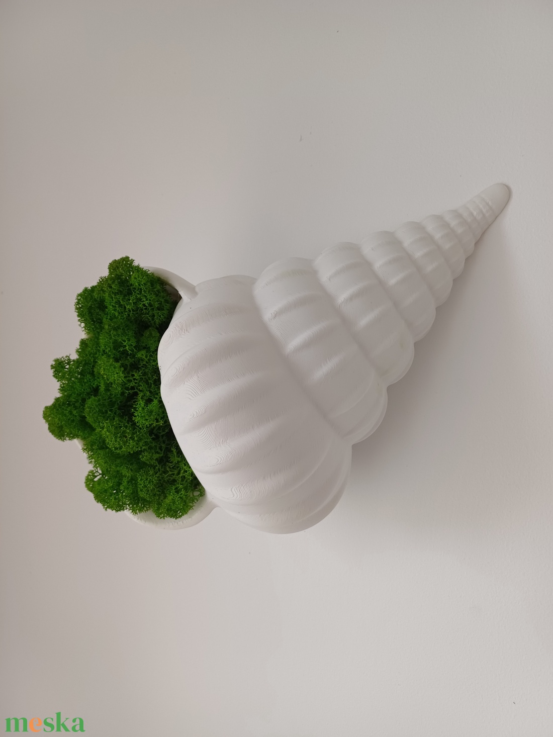 Csiga asztal vagy falidísz zuzmóval  - otthon & életmód - dekoráció - asztal és polc dekoráció - asztaldísz - Meska.hu