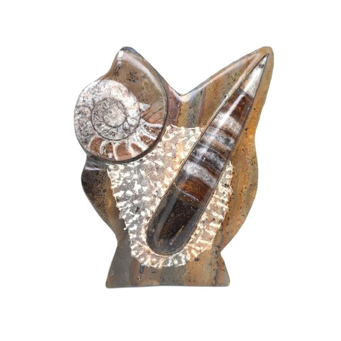 Álló Ortocerász és Ammonitesz fosszília dísz 15cm  Marokkói barna kőzet - kellékek & szerszámok - ásvány alapanyag - Meska.hu