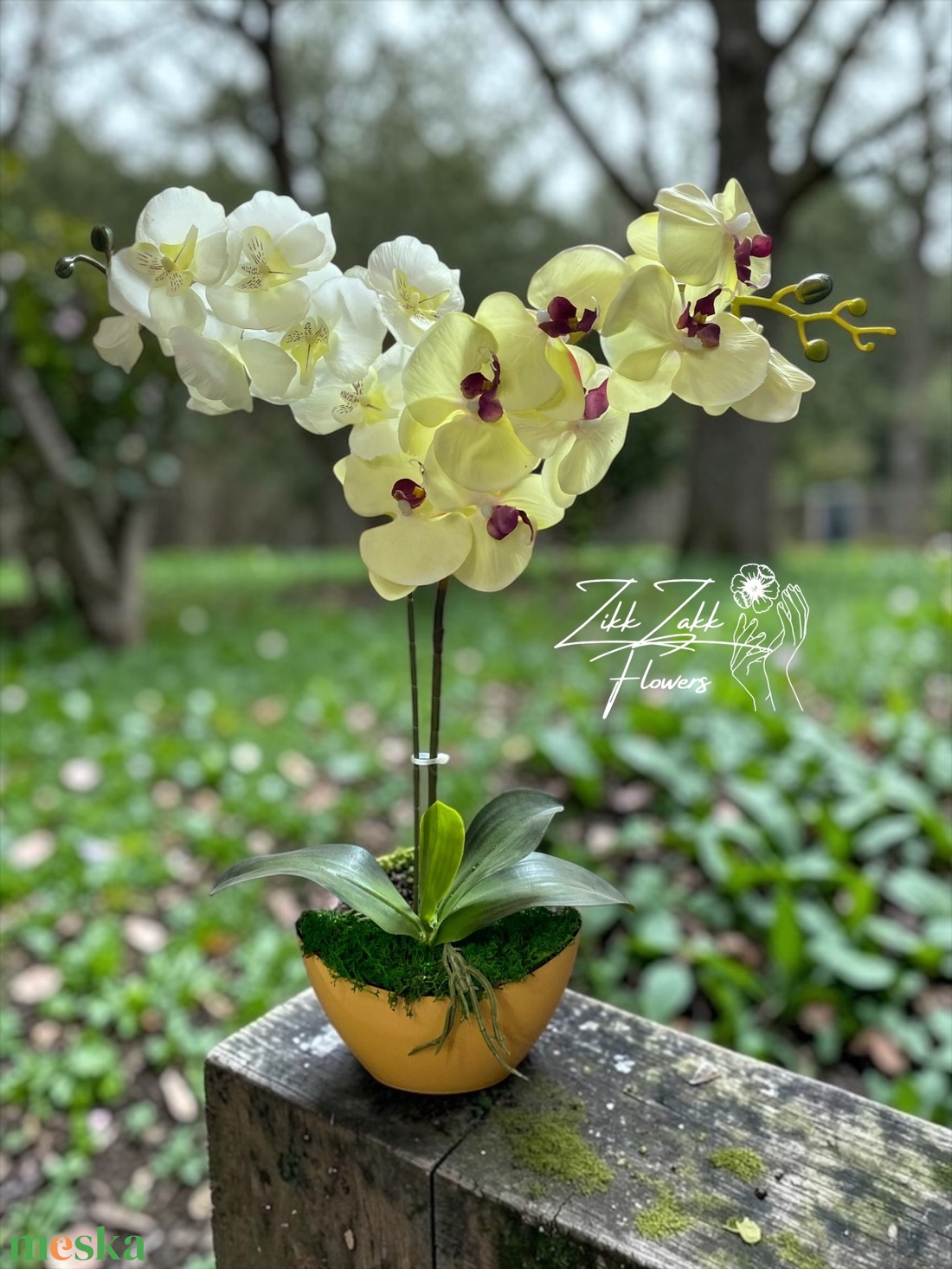 Örök orchidea kompozíció kaspóban � krémfehér - otthon & életmód - virágdekoráció - virágdíszek - asztali virágdísz - Meska.hu