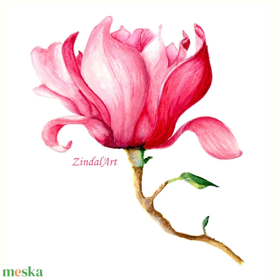 Magnólia akvarell falikép - művészet - grafika & illusztráció - művészi nyomat - Meska.hu