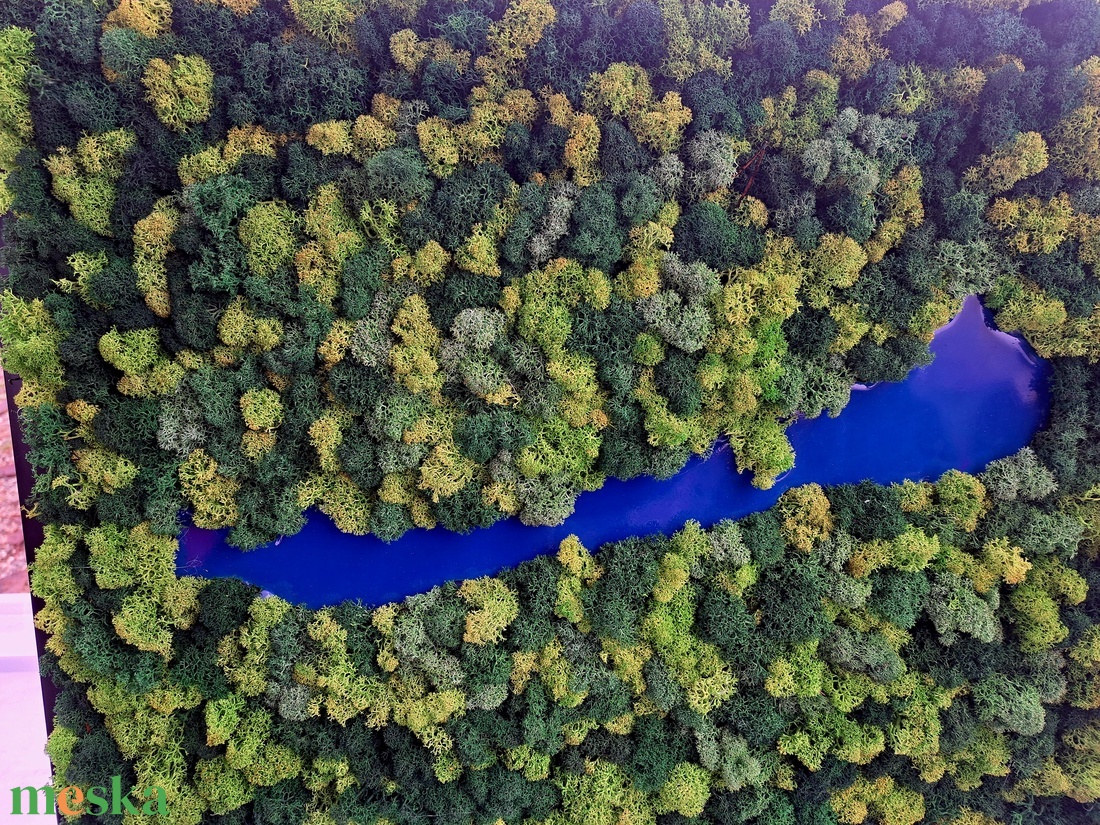 Zúzmó kép Balatonnal - otthon & életmód - dekoráció - asztal és polc dekoráció - zuzmódekoráció, mohadekoráció - Meska.hu